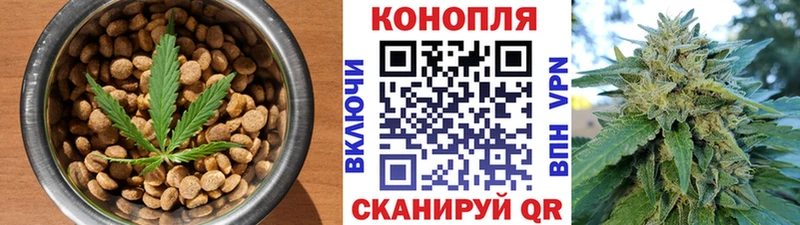 Cannafood марихуана  Купить где  Ногинск 