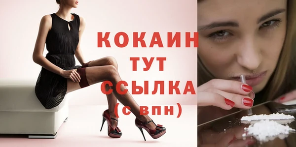 бошки Вяземский