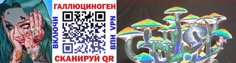 Купить закладки  Ногинск  Псилоцибиновые грибы мицелий 